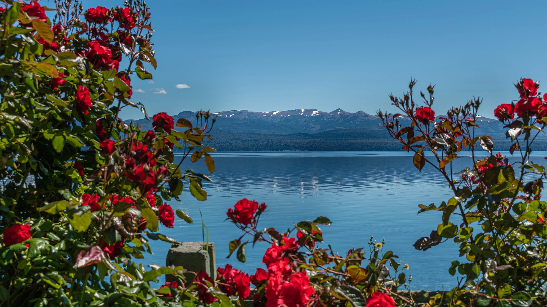 Fotografía Lago Nahuel Huapi desde el jardín