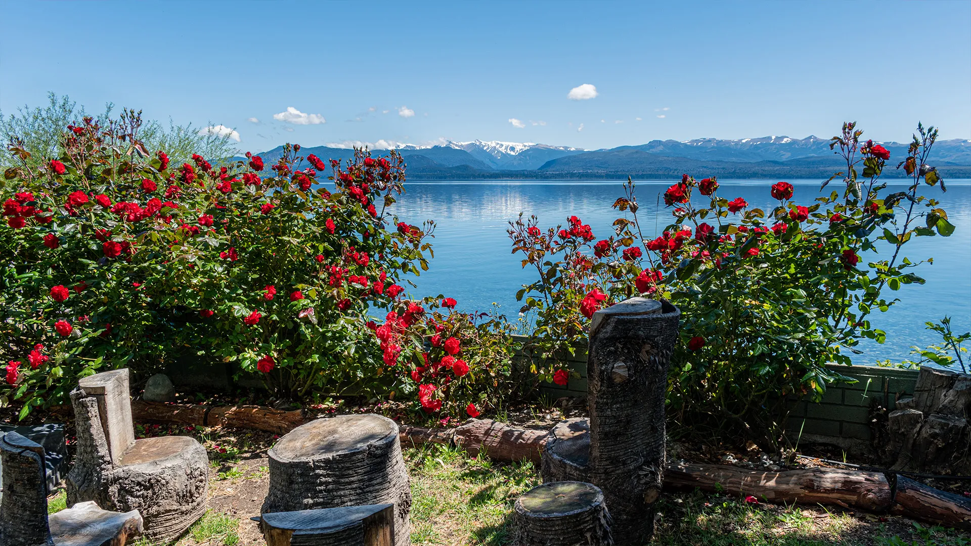 Fotografía del jardín de Lake Inn