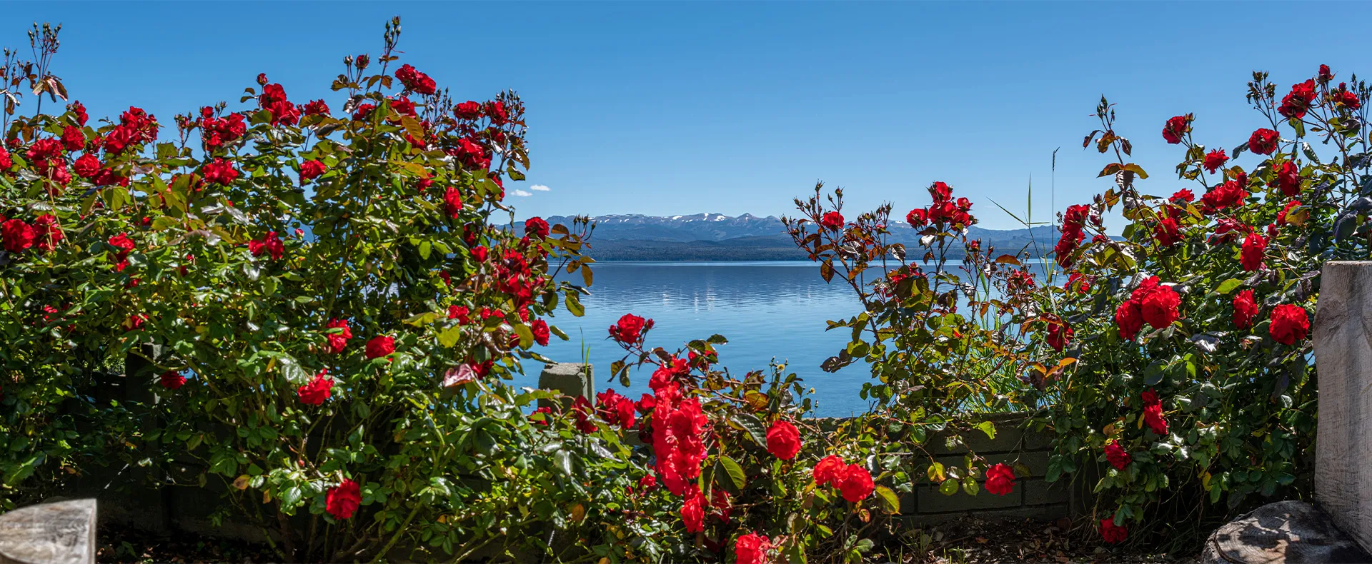 Fotografía panorámica del jardín de Lake Inn